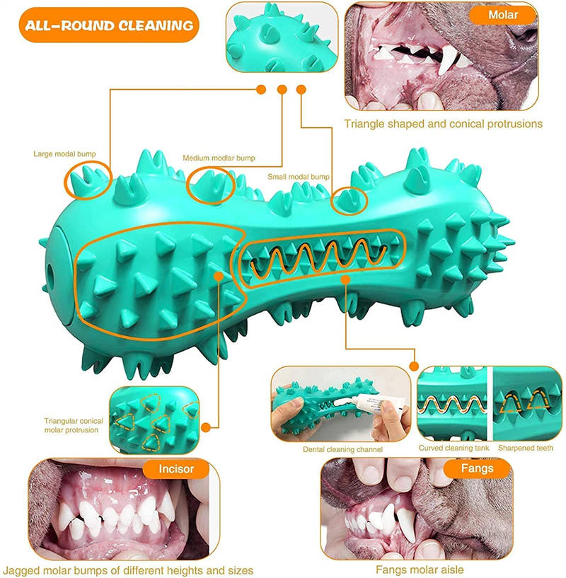 BiteClean Dental Stick: juguete masticable de goma para la salud de los dientes de los perros