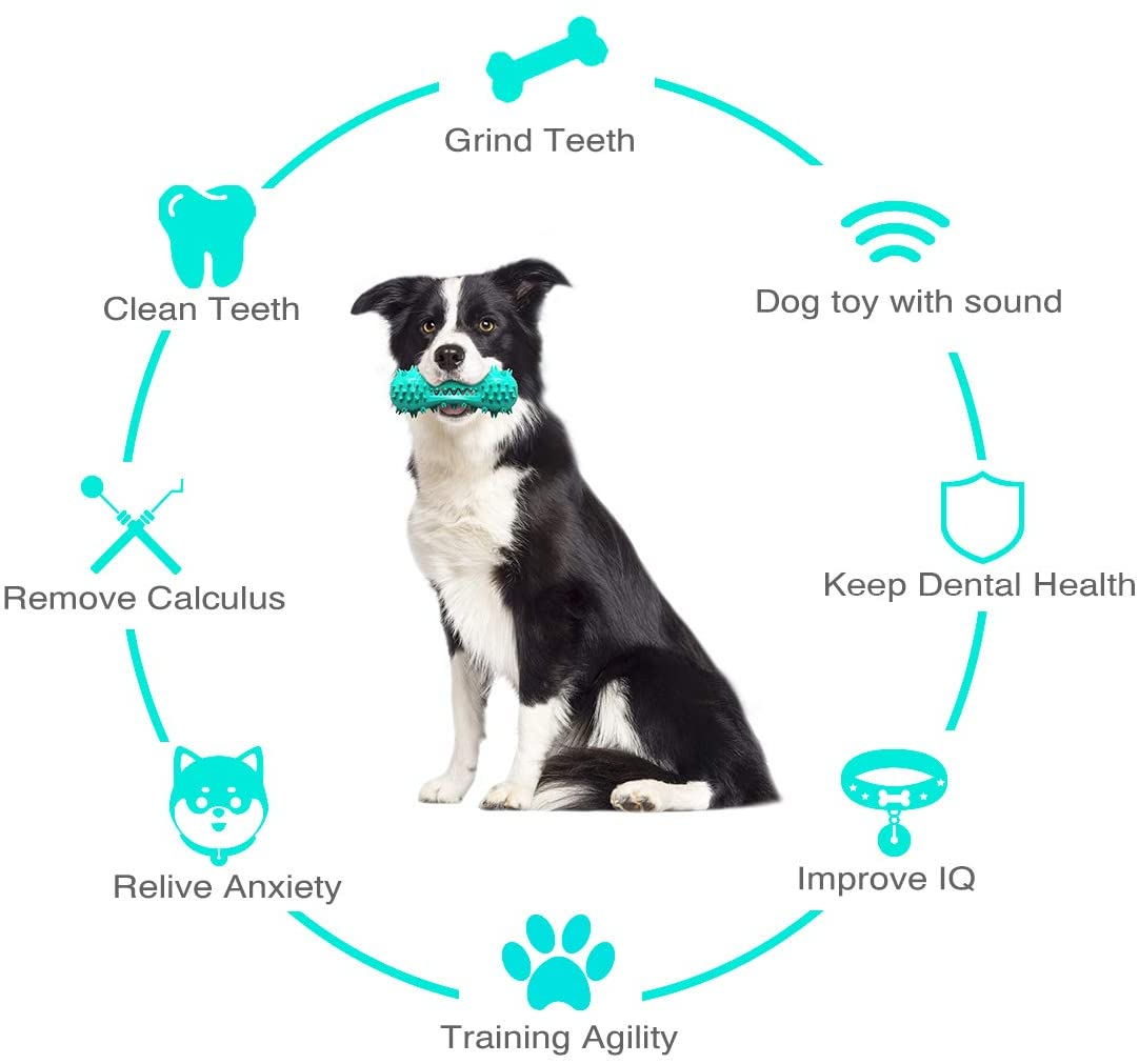 Bastoncino dentale BiteClean: giocattolo da masticare in gomma per la salute dei denti del cane