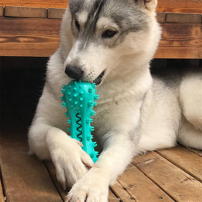 BiteClean Dental Stick: juguete masticable de goma para la salud de los dientes de los perros