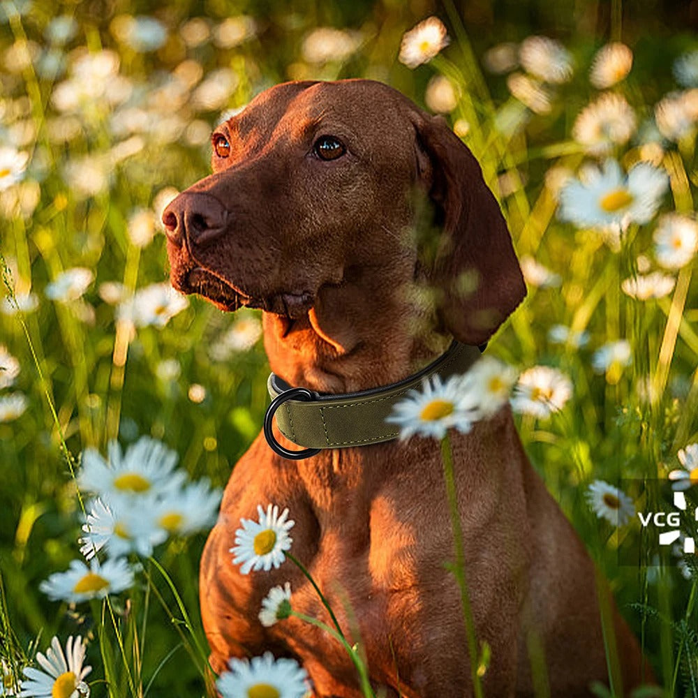 Marcel Collier - For large dogs