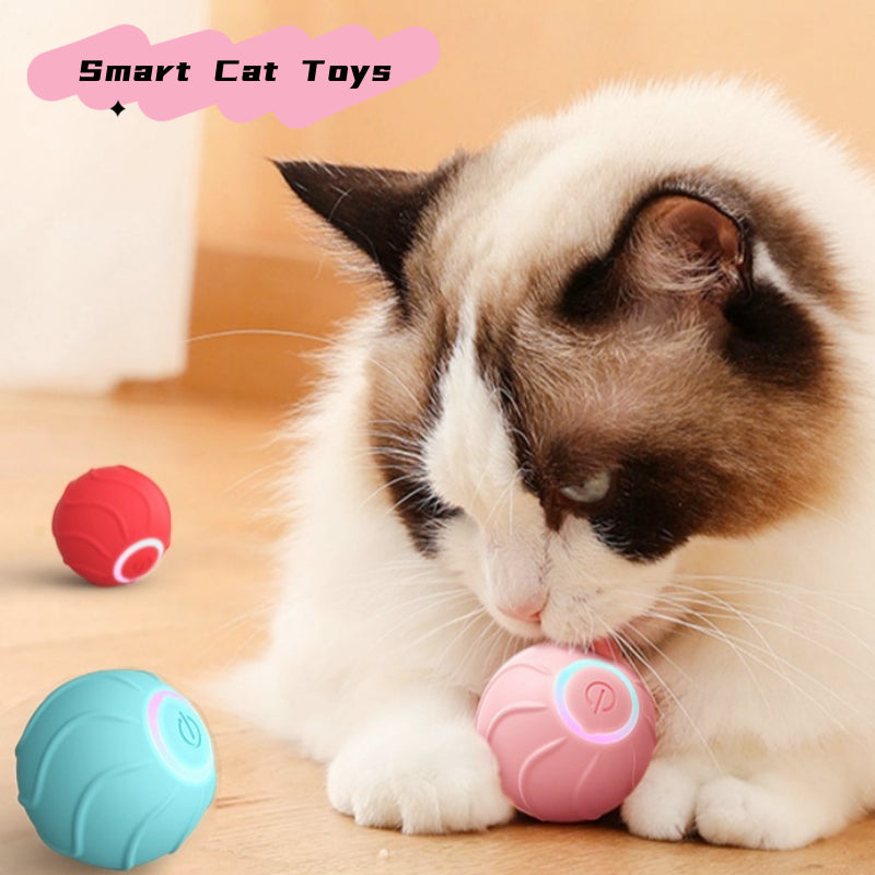 EnerGizmo Rolling Ball : jouet interactif intelligent pour chat