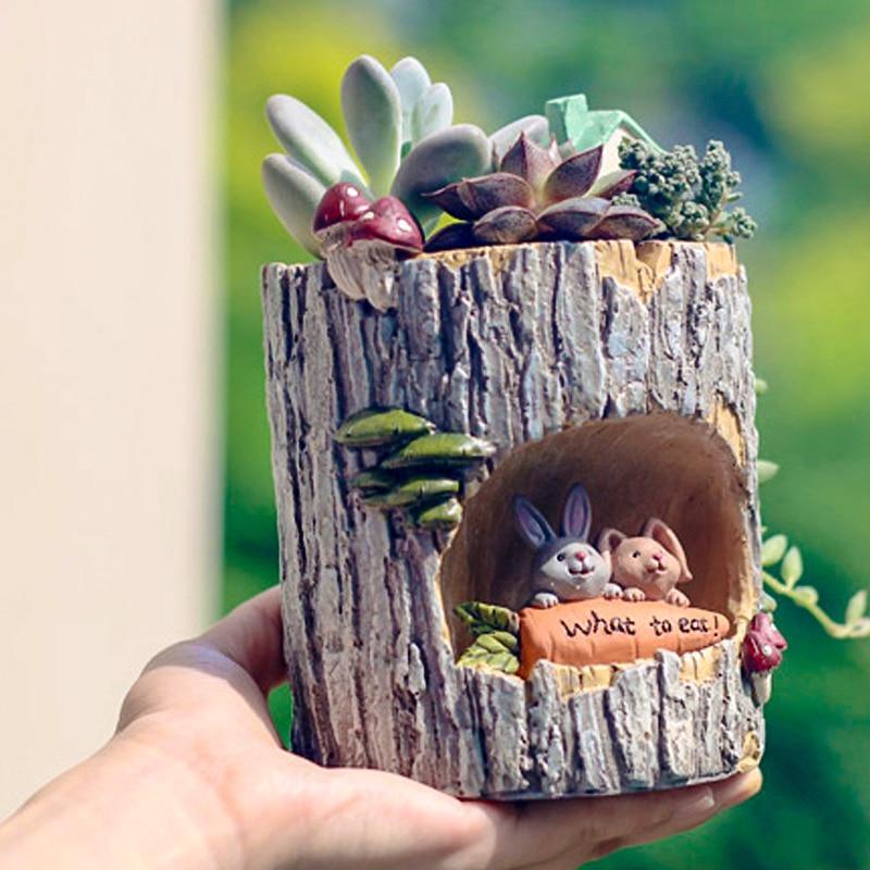 Charmante jardinière pour plantes succulentes