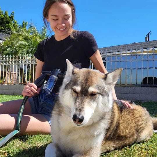 Canishower Pro - High performance canine bath system