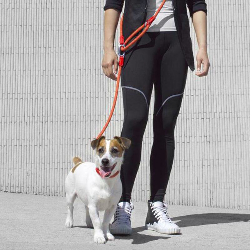 Hands Free Running Dog Leash