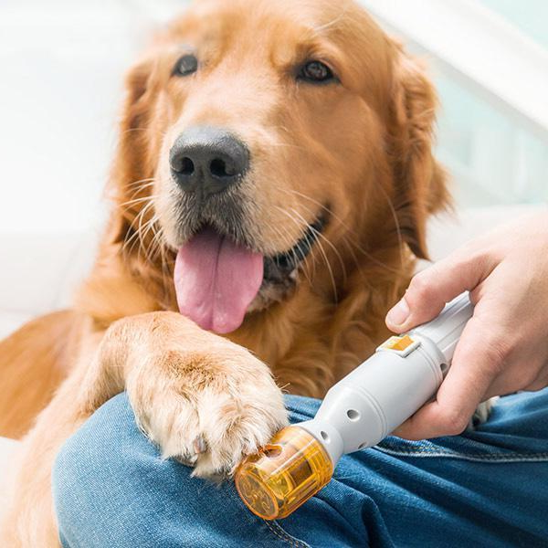 Premium Painless Nail Trimmer For Pets - All Size Dogs & Cats