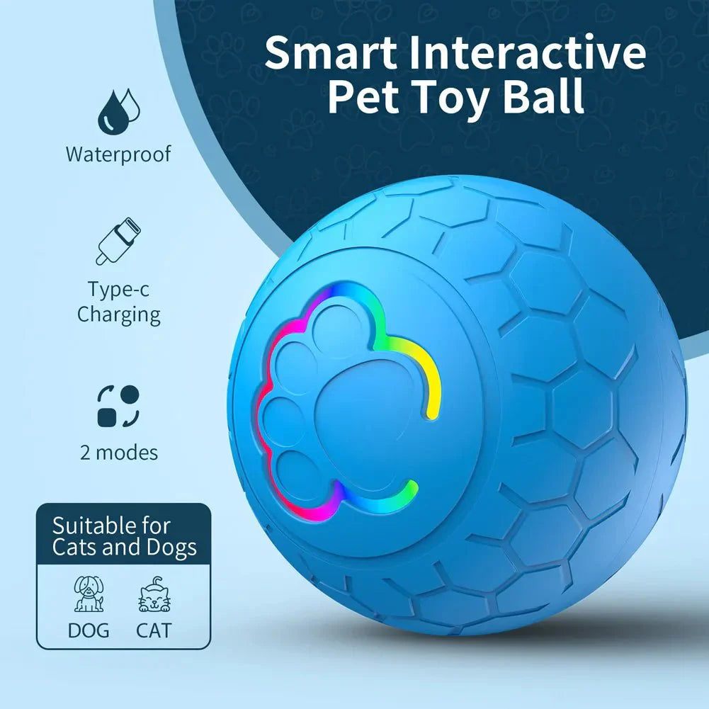 PlayPaws™ | Interactive Rolling Ball Toy