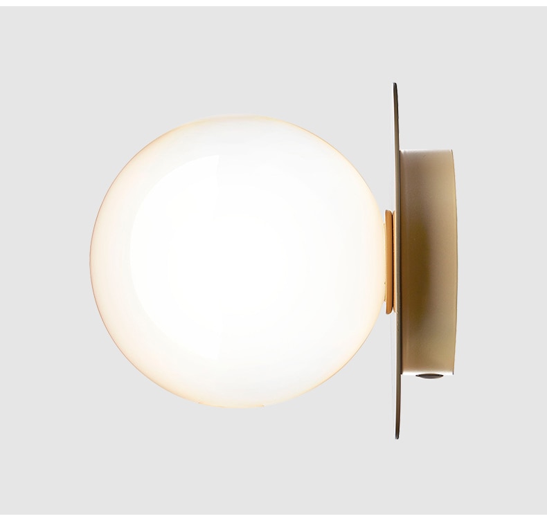 Globe and Metal Plate Ceiling Light