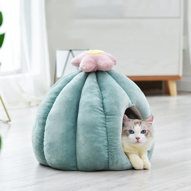 Cactus Cat Cave with Removable Cat Bed Cushion