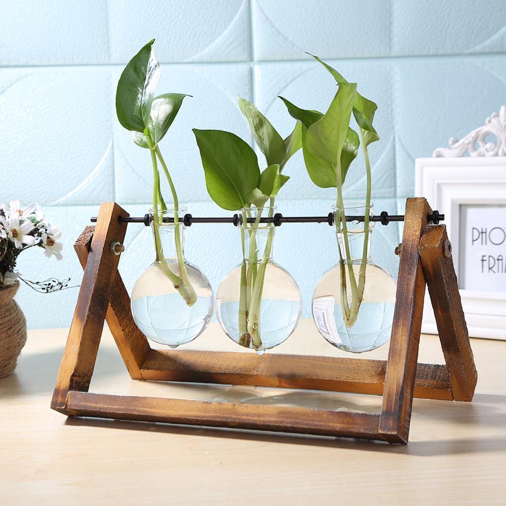 Glass Propagation Vase with A-Frame Wooden Stand