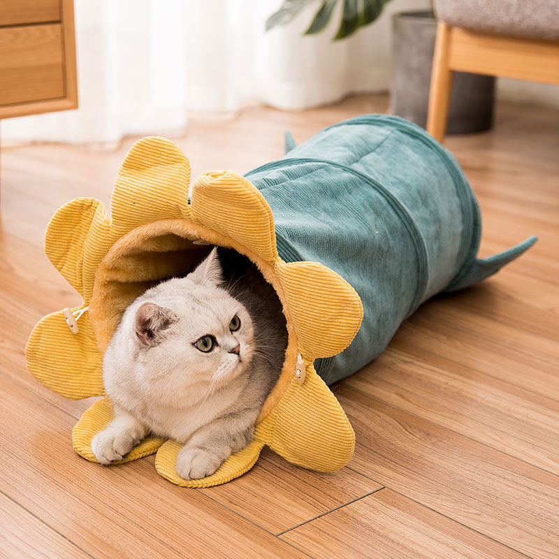 Túneis de Gato em Cordura do Jardim de Verão