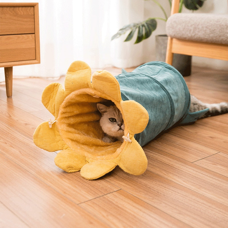 Túneis de Gato em Cordura do Jardim de Verão