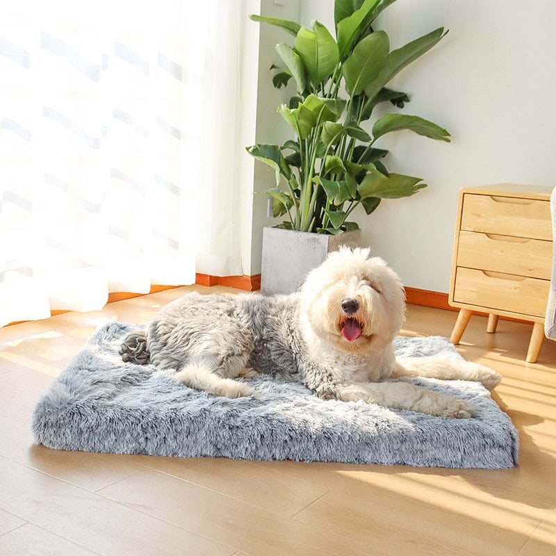 Plysch Ortopedisk Memory Foam Hundmadrass