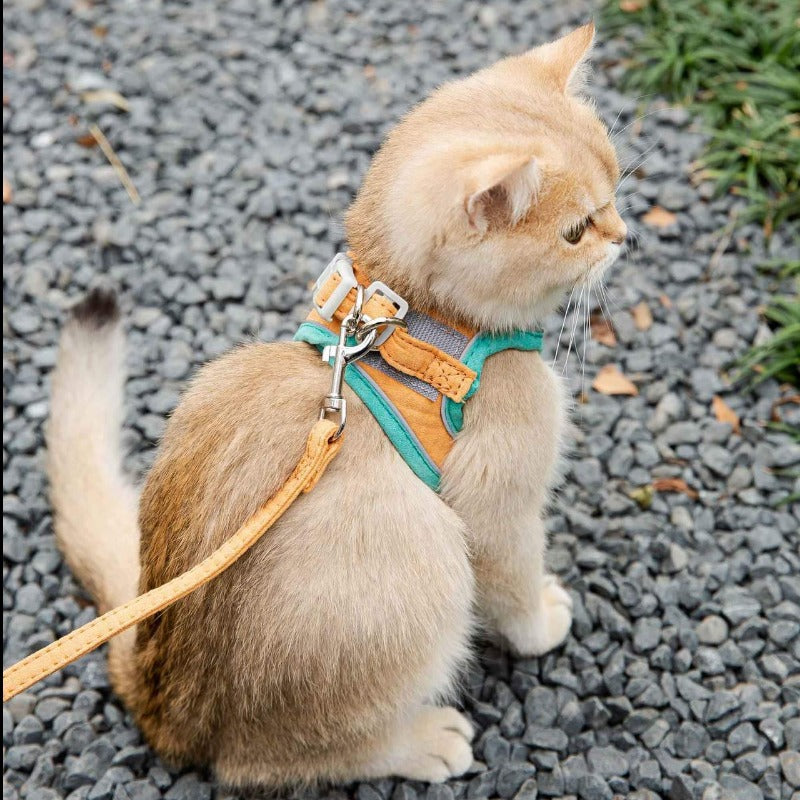 Reflective Cat Harness and Leash Collection