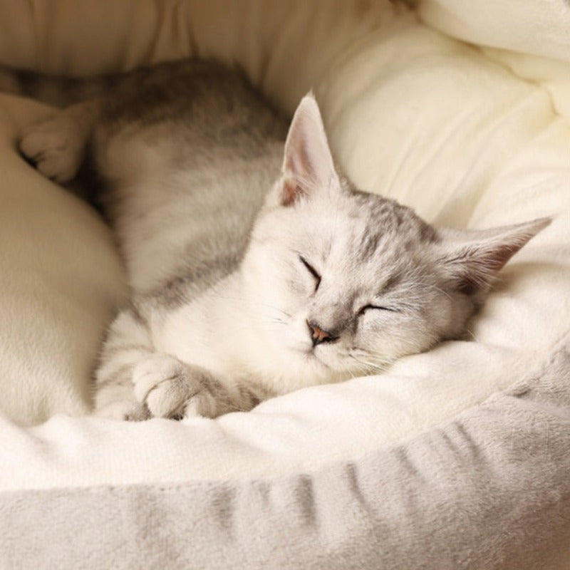 Lit de chat en forme de cave rond et apaisant