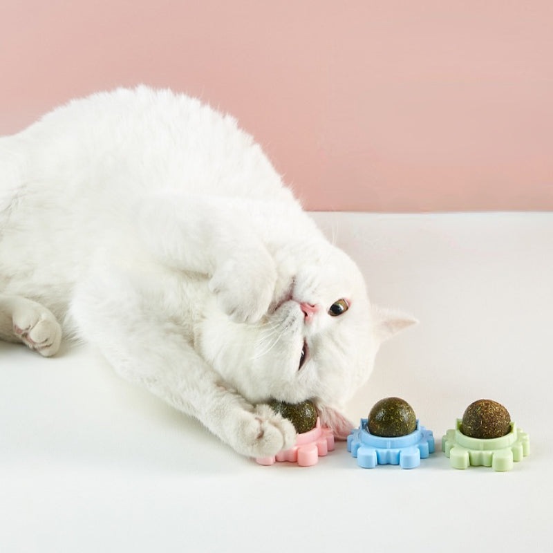 Boule d'herbe à chat