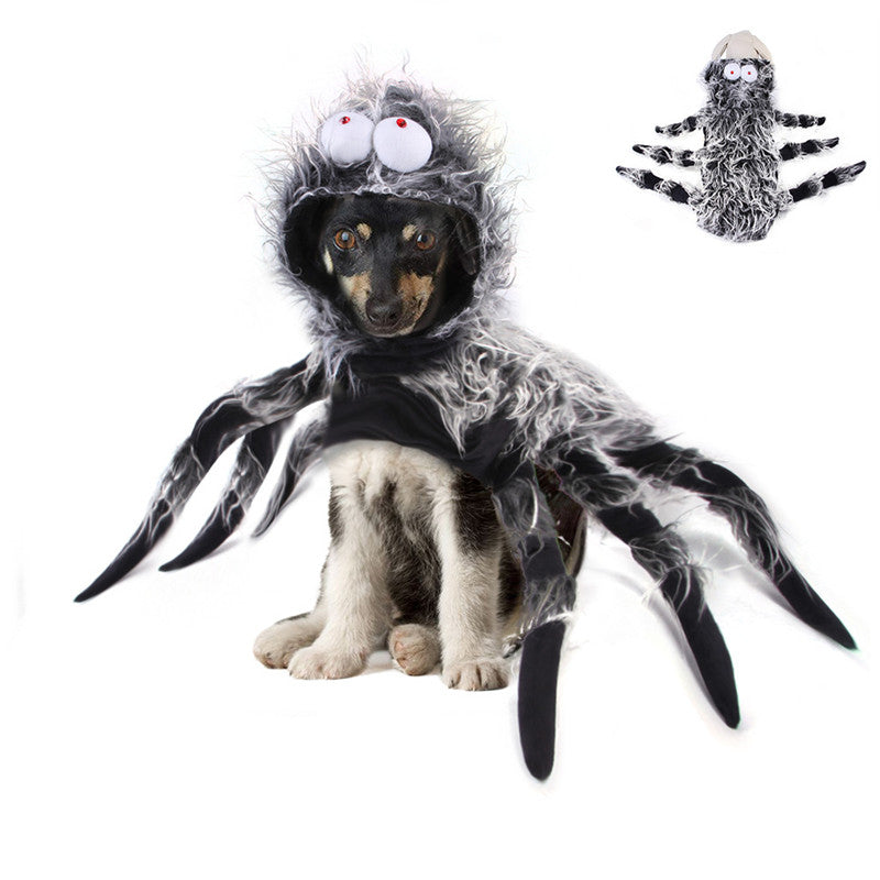 Creepy Crawly Spider Pet Costume